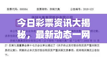 今日彩票资讯大揭秘,最新动态一网打尽