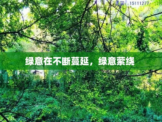 一花独放 第2页