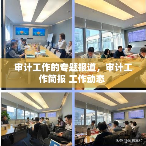 鸟声兽心 第3页