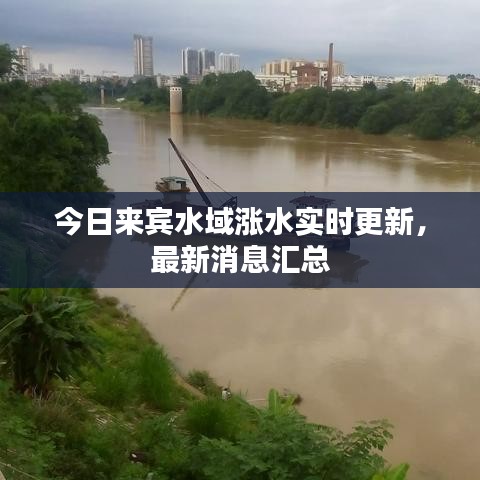 今日来宾水域涨水实时更新,最新消息汇总