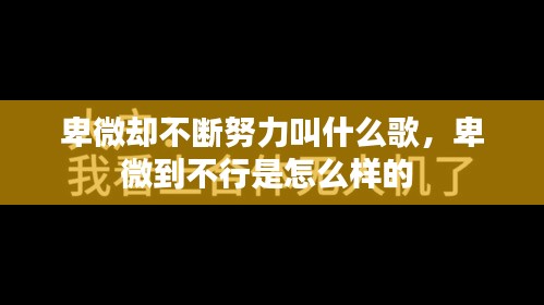 卑微却不断努力叫什么歌,卑微到不行是怎么样的