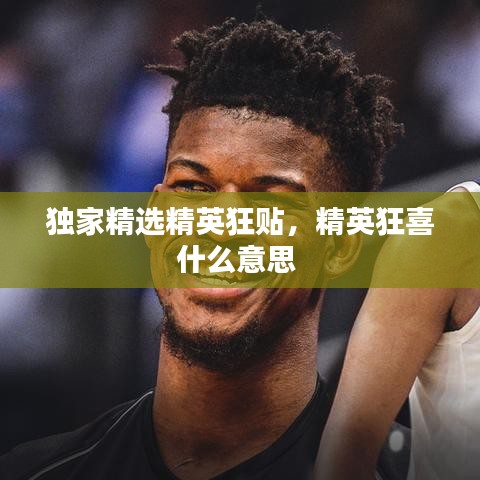 独家精选精英狂贴,精英狂喜什么意思