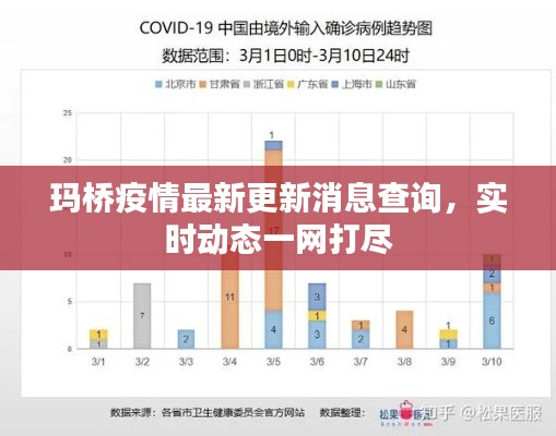 玛桥疫情最新更新消息查询,实时动态一网打尽