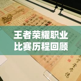 王者荣耀职业比赛历程回顾，荣耀之路的辉煌瞬间