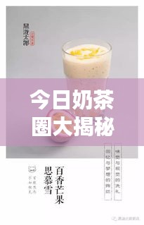 今日奶茶圈大揭秘，最新资讯一网打尽