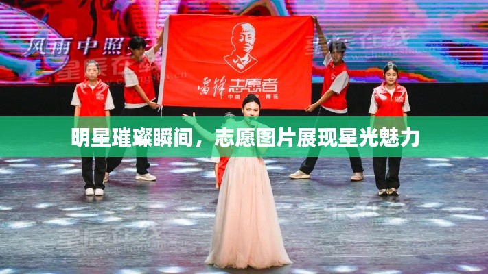 明星璀璨瞬间,志愿图片展现星光魅力
