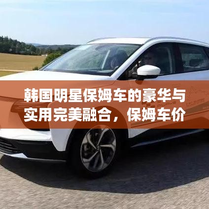 韩国明星保姆车的豪华与实用完美融合，保姆车价格揭秘
