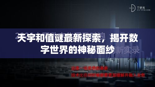 天宇和值谜最新探索，揭开数字世界的神秘面纱